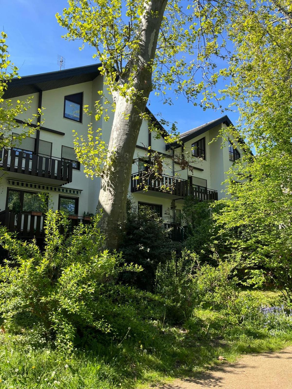 Zentrale Am Buhlschen Park In Deidesheim