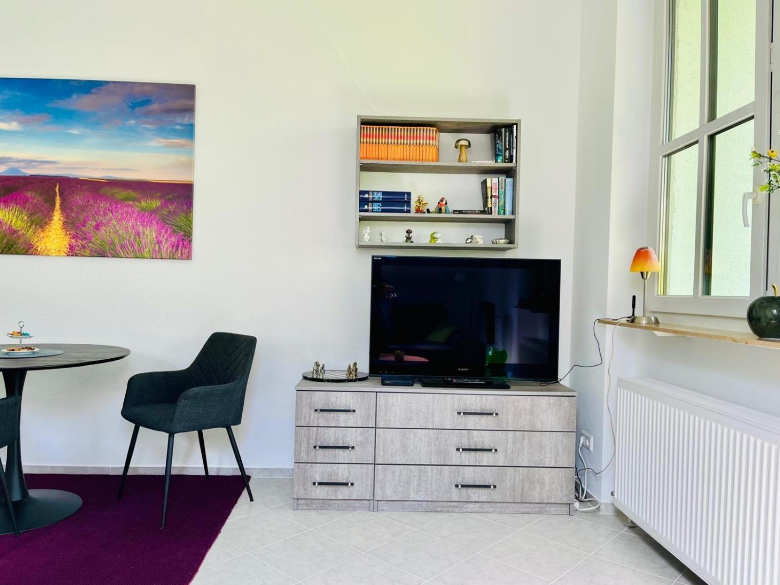 Appartement Zentrale Am Buhlschen Park In *