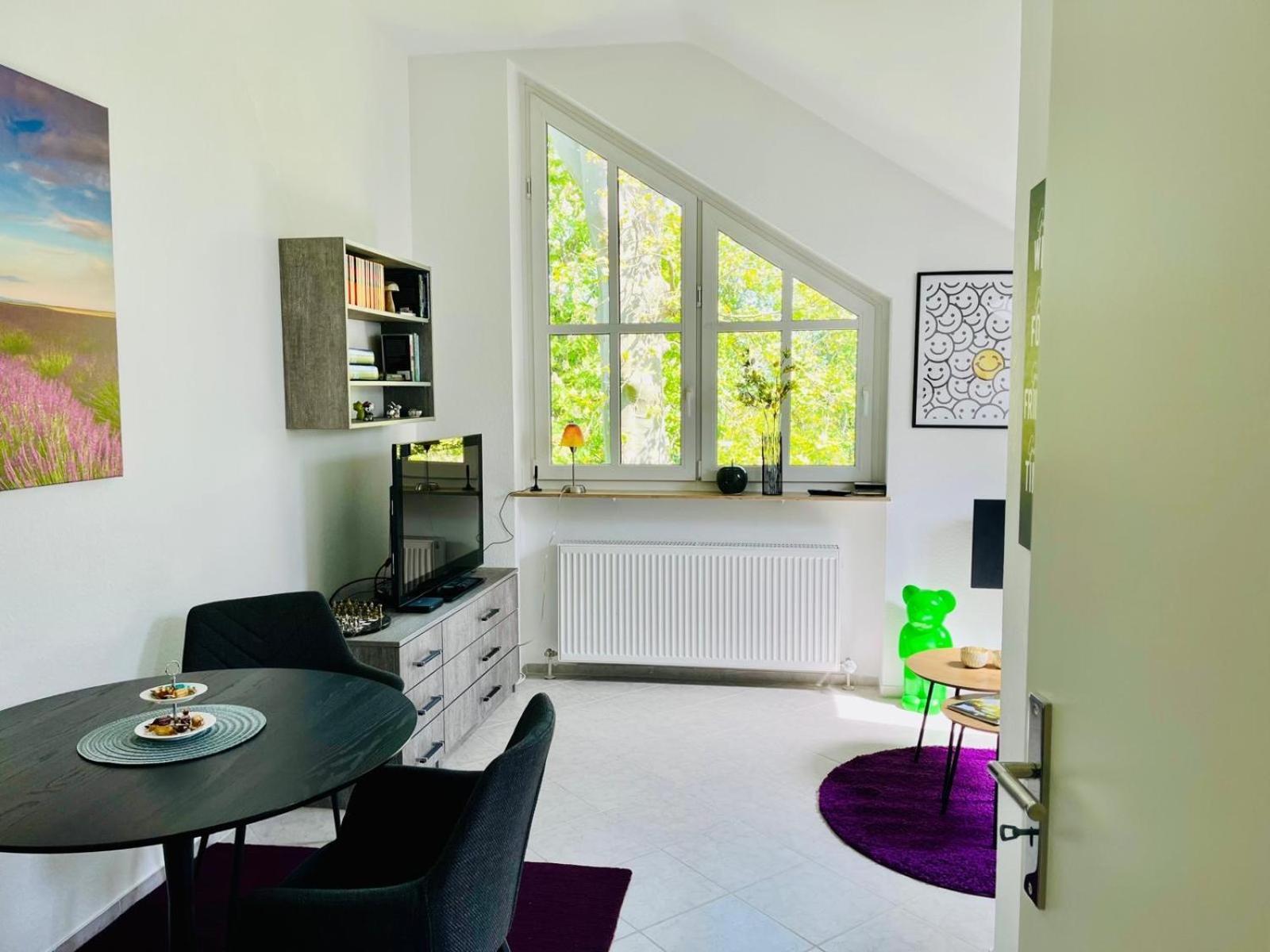 Appartement Zentrale Am Buhlschen Park In *