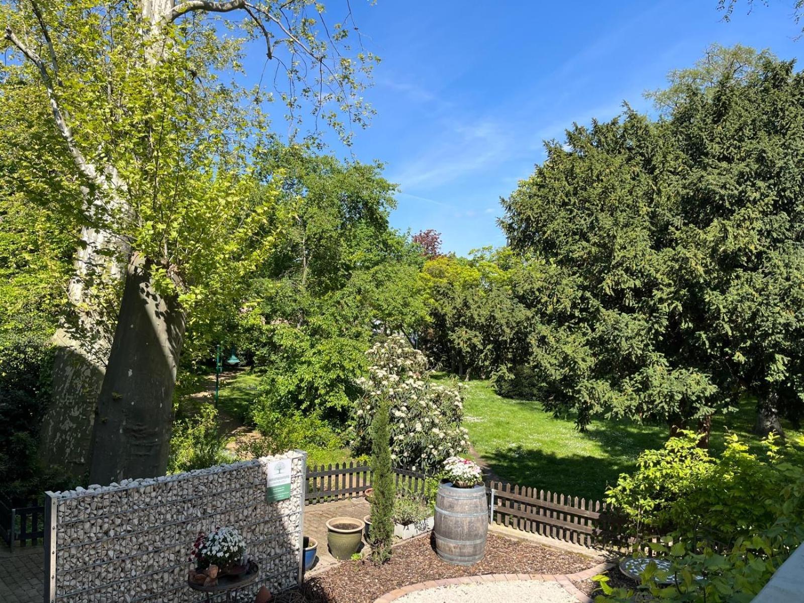 Zentrale Am Buhlschen Park In Deidesheim